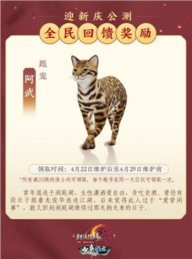 天龙八部私服 购买
